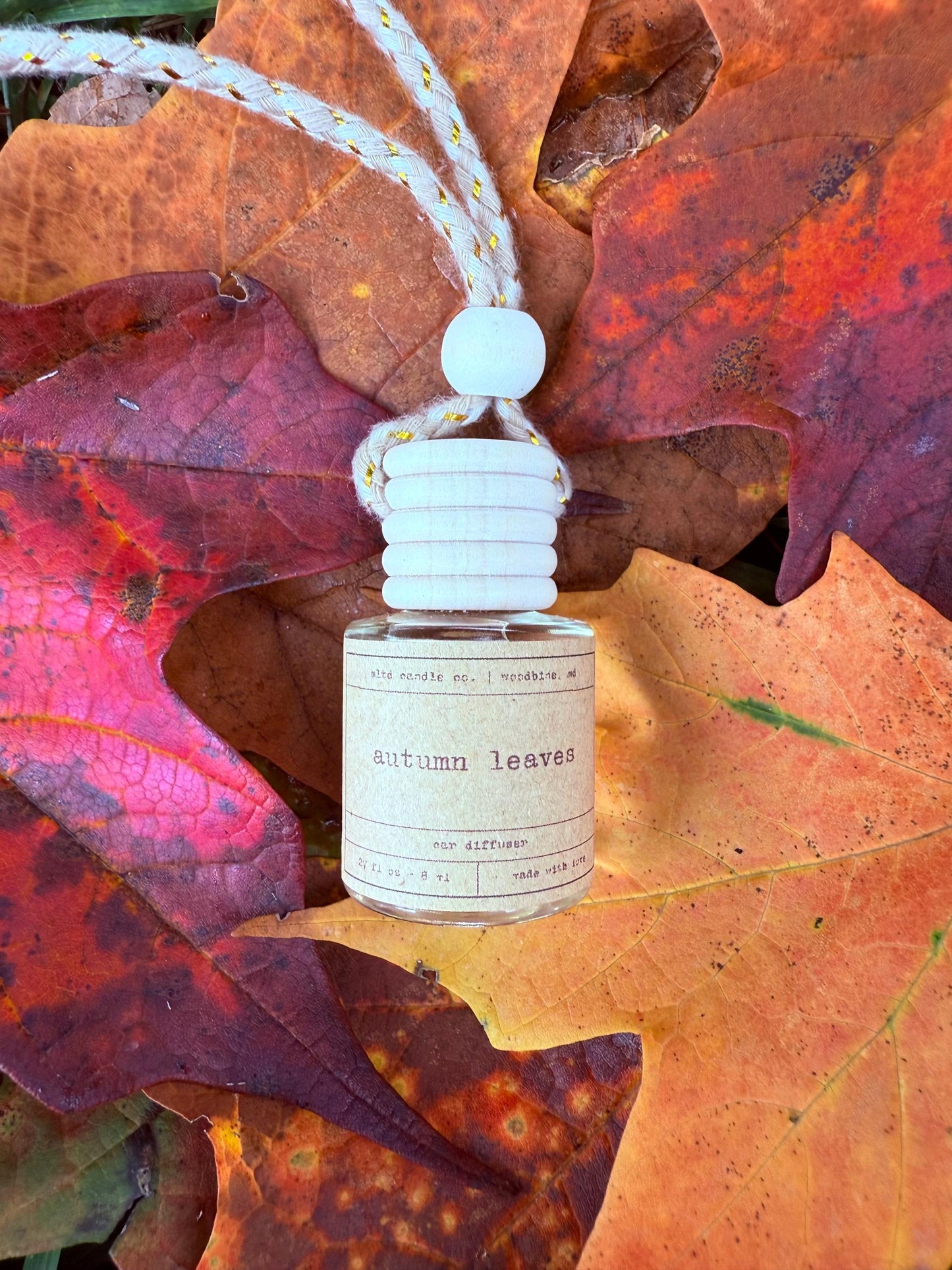 Fall Hanging Car Diffuser | Autumn Scented Air Freshener