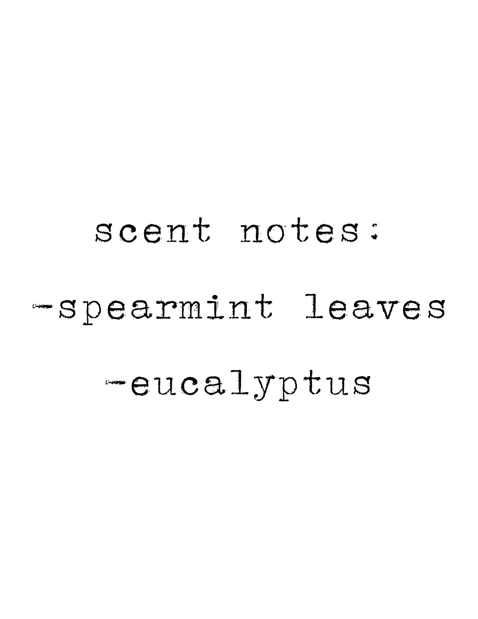 Spearmint + Eucalyptus Soy Candle