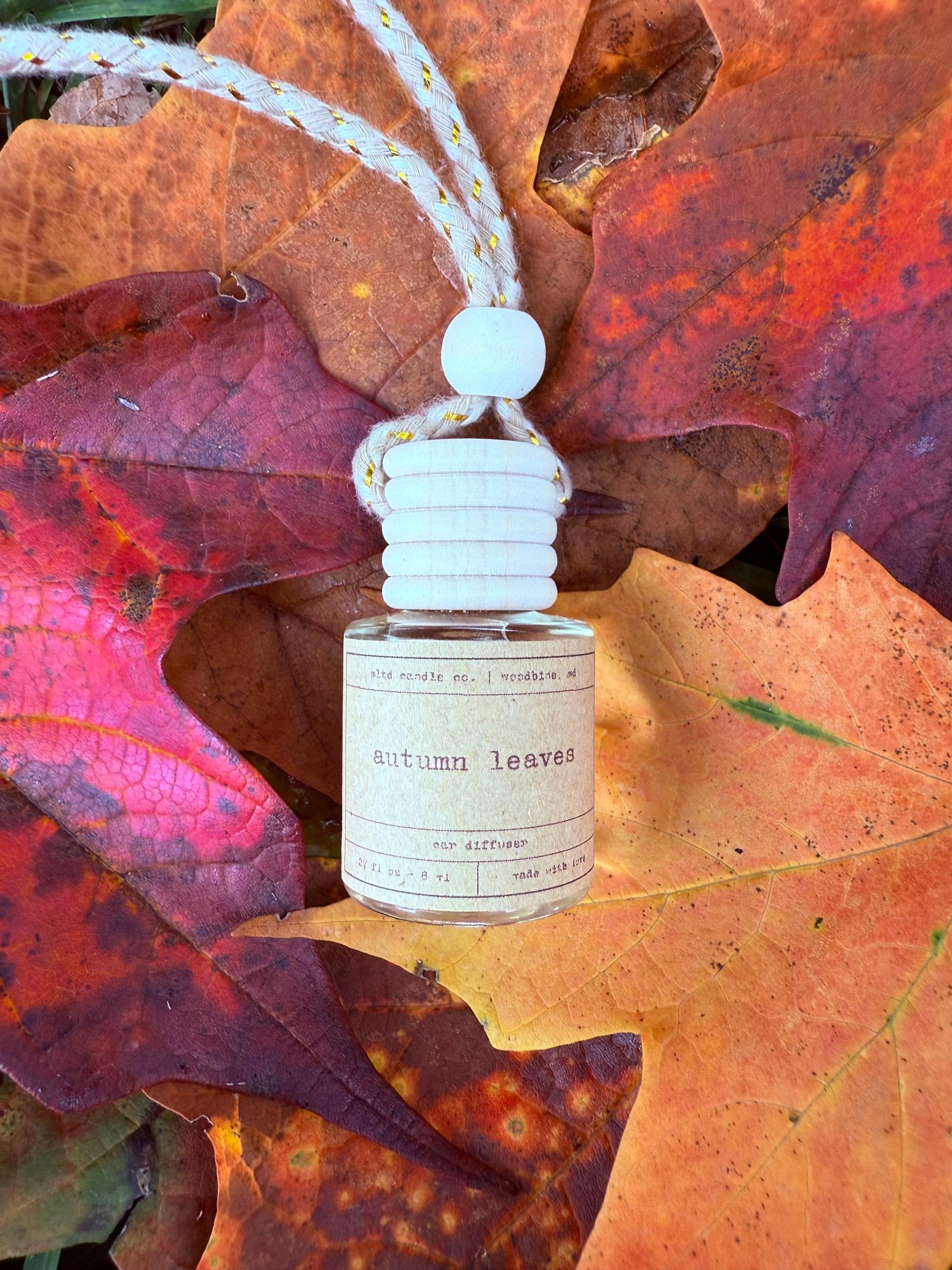 Fall Hanging Car Diffuser | Autumn Scented Air Freshener